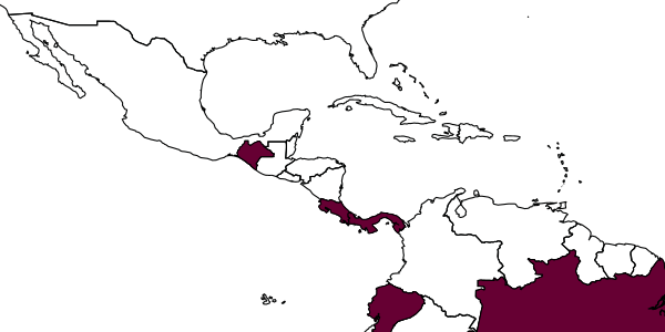 map of Enicospilus jesicae     Gauld, 1988